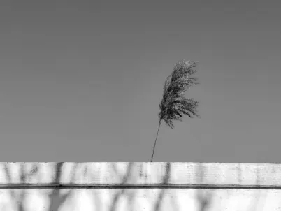 Kasyno Classy Slots Aplikacja mobilna